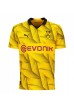 Fotbalové Dres Borussia Dortmund Mats Hummels #15 Třetí Oblečení 2023-24 Krátký Rukáv